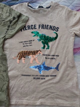 Camicie H&M Dinosauri e Animali 134-140