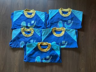 Set di Uniformi Valdebebitos T 2-3 (16 capi)