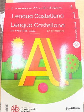 Lengua castellana, 1 Primaria un paso más : pauta