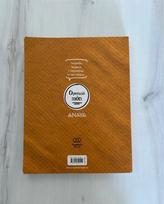 Llengua catalana i Literatura, 2 Batxillerat