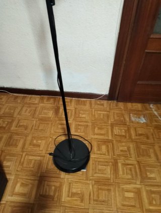 Lampada da terra con 2 tulipani