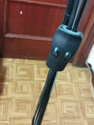 Lampada da terra con 2 tulipani