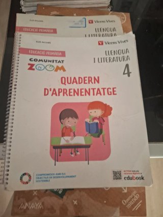 Llengua i Literatura, 4 Educació Primària, Ille...