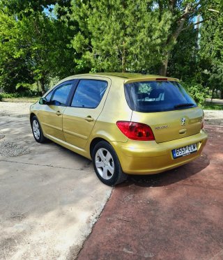 Peugeot 307 2004