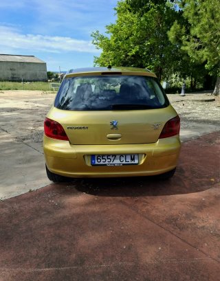 Peugeot 307 2004