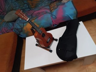 ​Ukelele Tanglewood TWT1 + Funda Premium acolchada