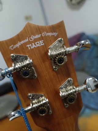 ​Ukelele Tanglewood TWT1 + Funda Premium acolchada