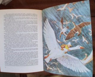 Libro EL MARAVILLOSO VIAJE DEL PEQUEÑO NILS