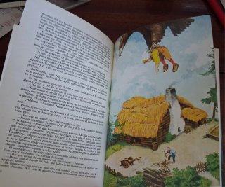 Libro EL MARAVILLOSO VIAJE DEL PEQUEÑO NILS