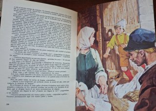 Libro EL MARAVILLOSO VIAJE DEL PEQUEÑO NILS