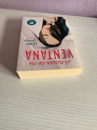 Libro A través de mi ventana