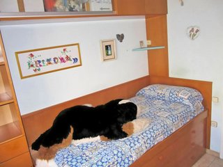 Chalet en venta en Ca n'Aurell en Terrassa