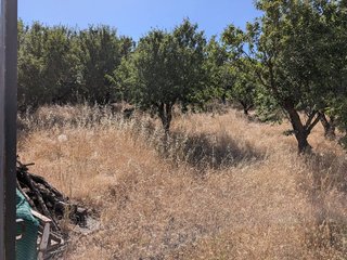 Terreno en venta en Alhendín