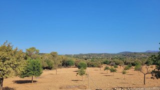 Solar en venta en Manacor Centro en Manacor