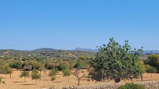 Solar en venta en Manacor Centro en Manacor