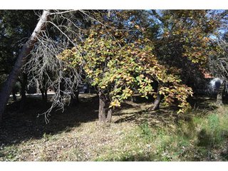 Terreno en venta en Matadepera
