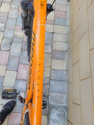 Bicicleta Megamo Natural 29