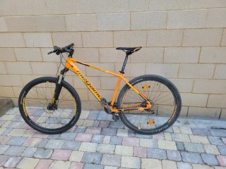 Bicicleta Megamo Natural 29