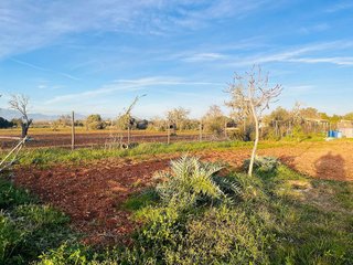 Terreno en venta en Algaida