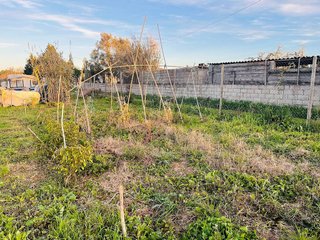 Terreno en venta en Algaida