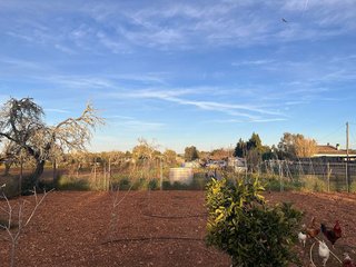 Terreno en venta en Algaida