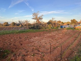 Terreno en venta en Algaida