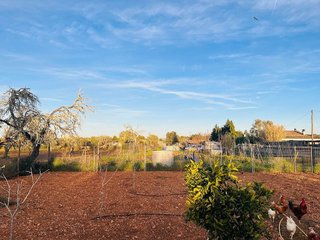 Terreno en venta en Algaida