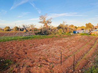 Terreno en venta en Algaida