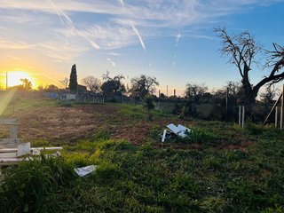 Terreno en venta en Algaida