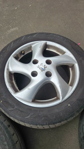 Llantas Peugeot 206 195/55 R15
