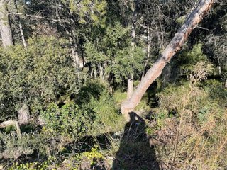 Terreno en venta en Matadepera