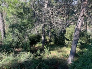 Terreno en venta en Matadepera