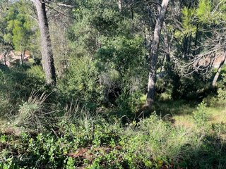Terreno en venta en Matadepera