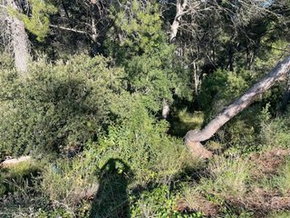 Terreno en venta en Matadepera