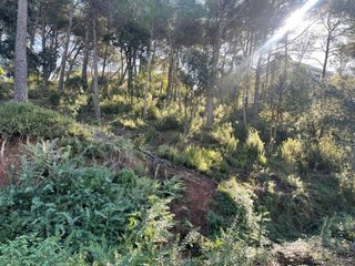 Terreno en venta en Matadepera