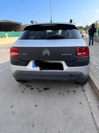 Citroen C4 Cactus 2016