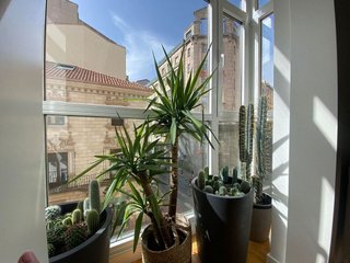 Piso en alquiler en Zona Sur en Burgos