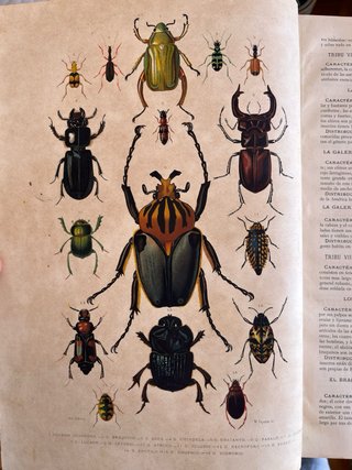 Libros Historia Natural Siglo XIX