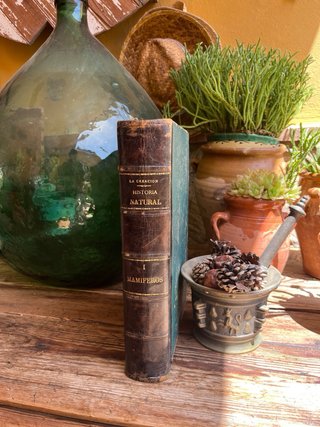 Libros Historia Natural Siglo XIX