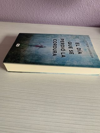 Libro El día que se perdió la cordura