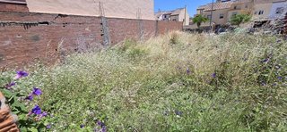 Terreno en venta en El Rinconcillo en Algeciras