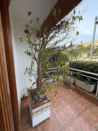 Chalet en venta en Zona Avenida Alta - Auditorio en Torrent