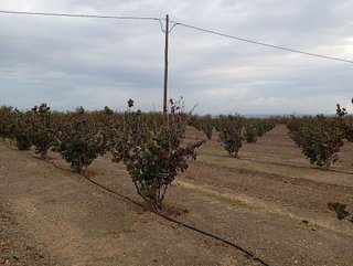 Terreno en venta en Alcover