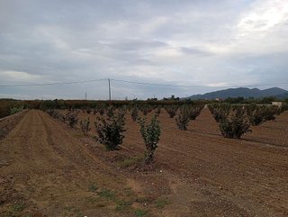 Terreno en venta en Alcover