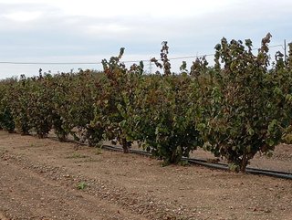 Terreno en venta en Alcover