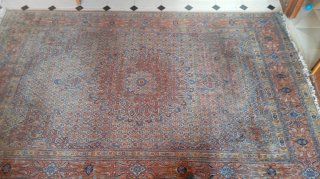 Alfombra Persa Lana Tejida a Mano 310x195