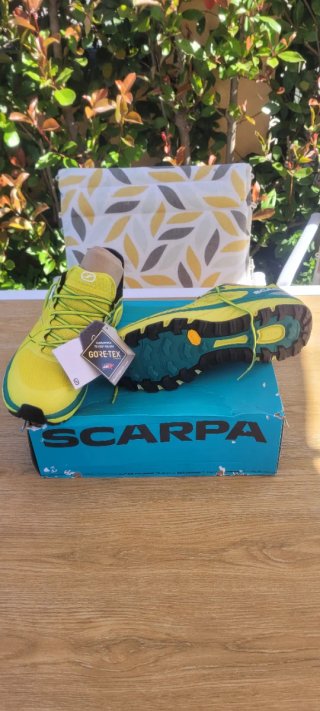Scarpa Spin Infinity GTX Scarpe Trail Run