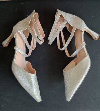 Zapatos de fiesta plateados