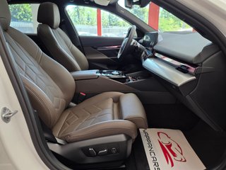 BMW Serie 5 520d