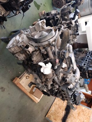 Despiece motores Iveco Daily